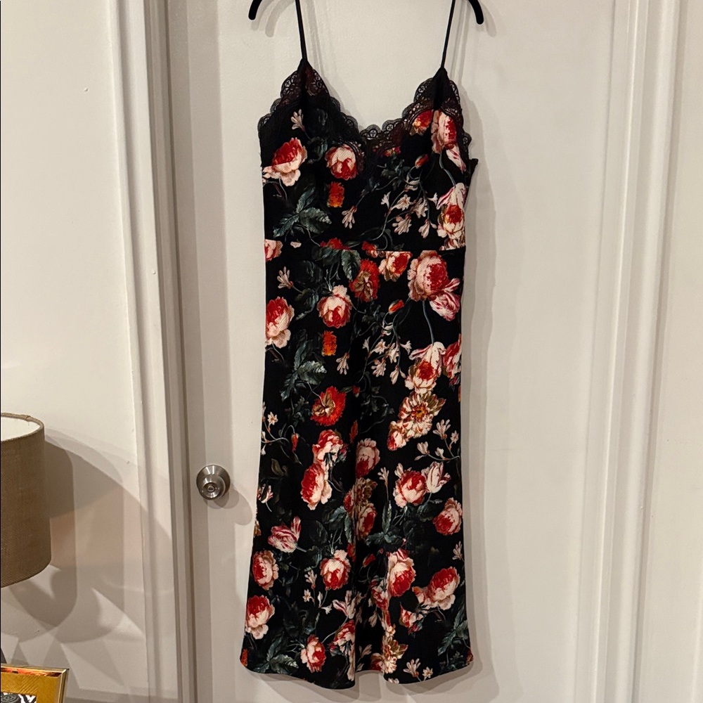 Anthropologie Foxiedox Black Red Floral Lace Dress